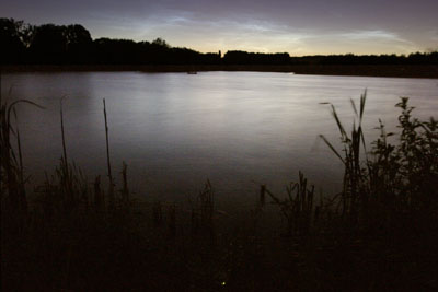Glow worm and noctilucent cloud